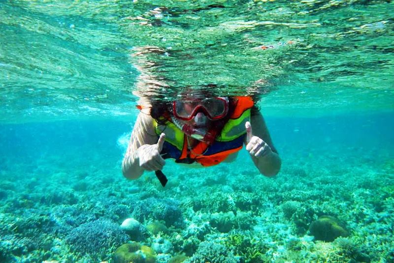 menjangan-snorkeling-trip