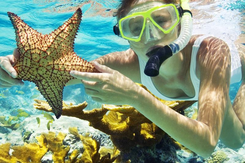 menjangan-snorkeling