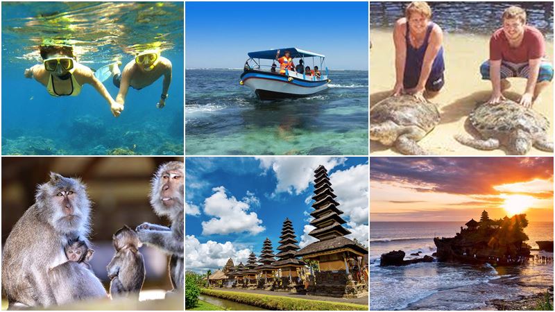 BCO-34 Snorkeling with Royal Temple, Tanah Lot Sunset Bali tour