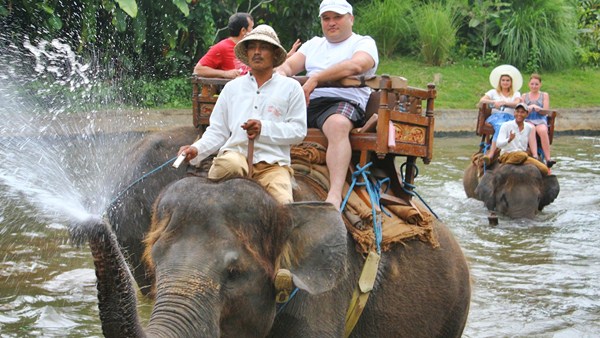 ATV Ride with Elephant Ride Spa Bali tour