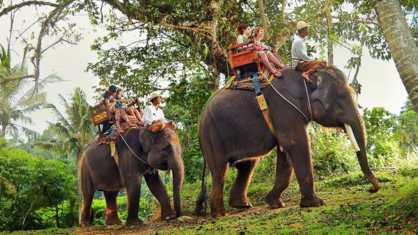 ATV Ride with Elephant Ride Spa Bali tour