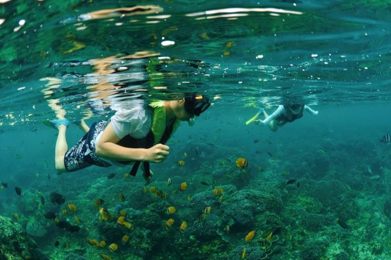 balihai-snorkeling