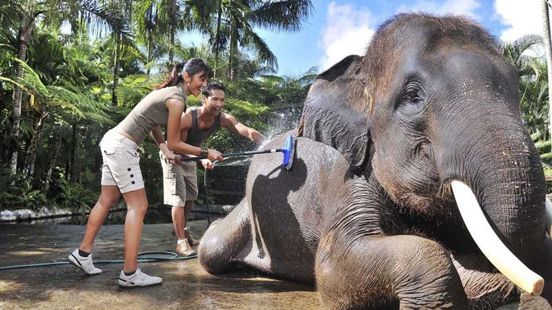7 Days Bali Land Tour (Option 3)