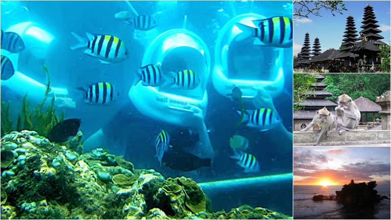 bco41-oceanwalker-tanahlot