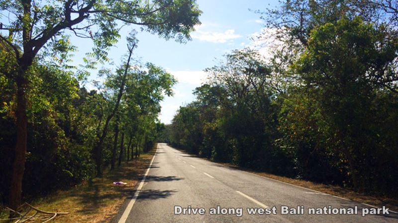 day1-bali-bromo-tour-2