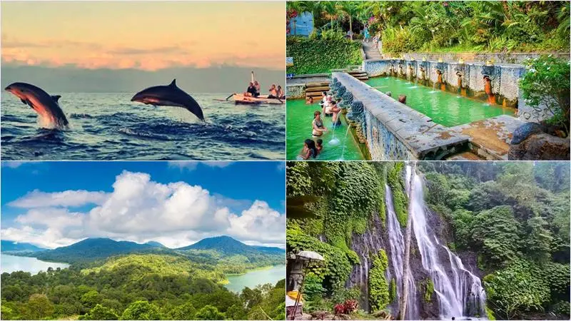 dolphin-waterfall-bali-tour