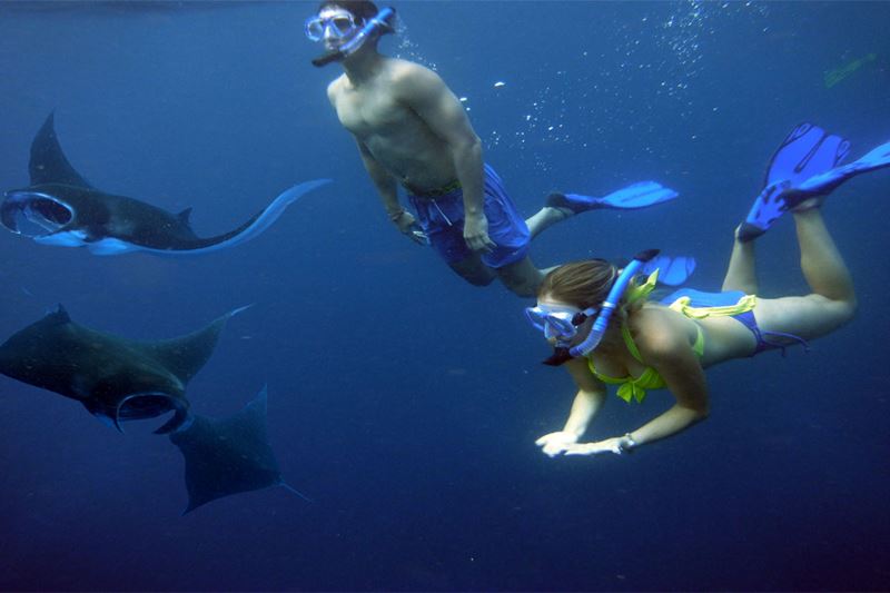 Manta Point