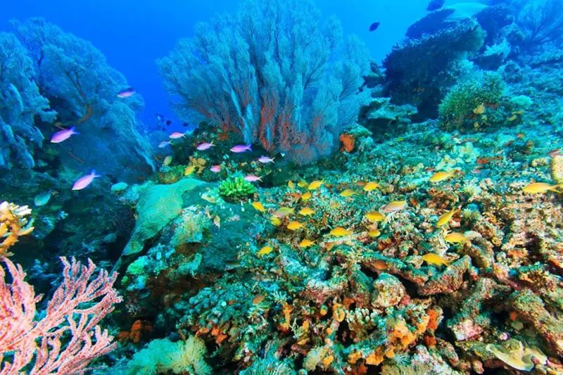 7 Days Bali Land Tour Package (Option 6)