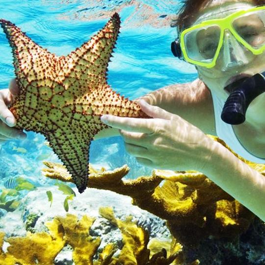 menjangan snorkeling tours
