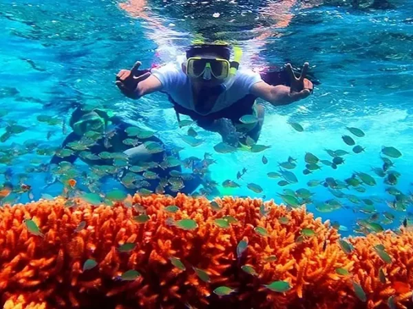 menjangan-snorkeling-trip