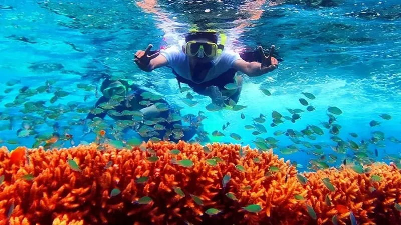 menjangan-snorkeling-trip