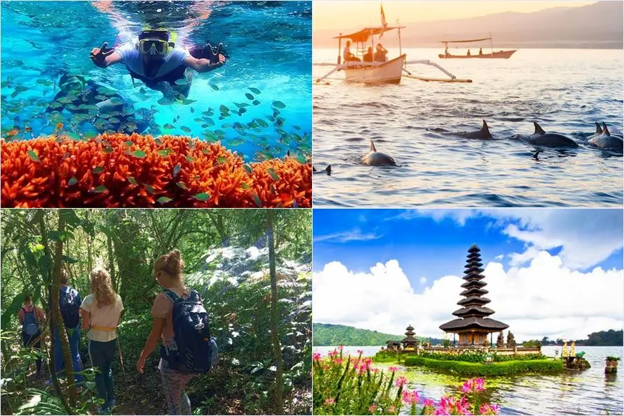 2D1N Menjangan Snorkeling + Dolphin & Trekking 2 Days 1 Night Package | Menjangan Snorkeling + Dolphin & Trekking