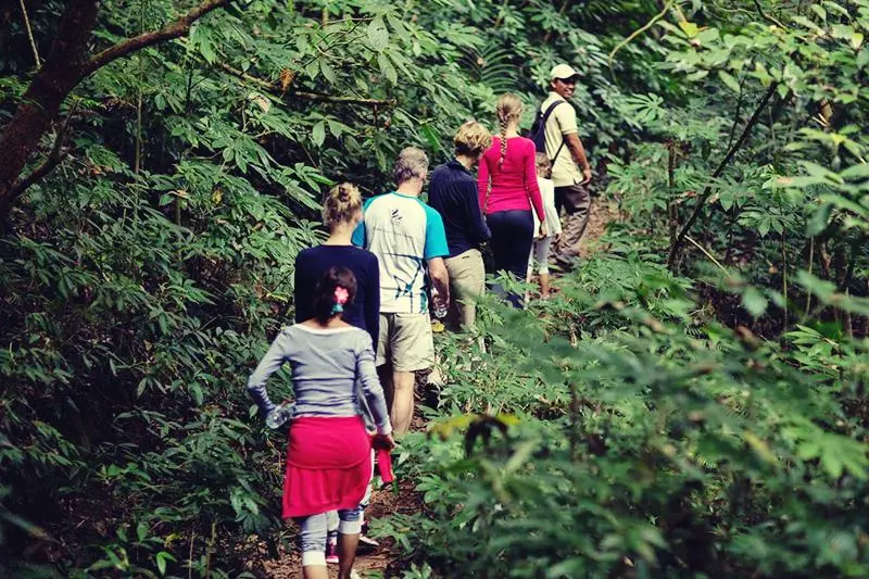 munduk-trekking