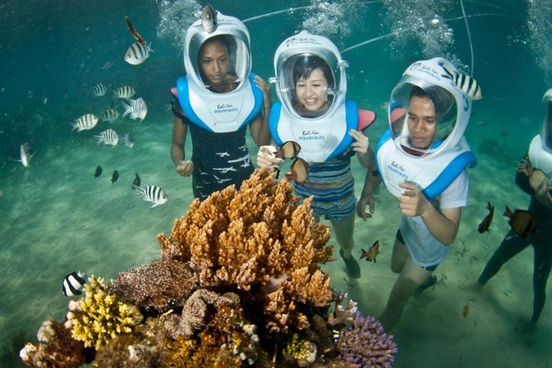 ocean-walker-balihai