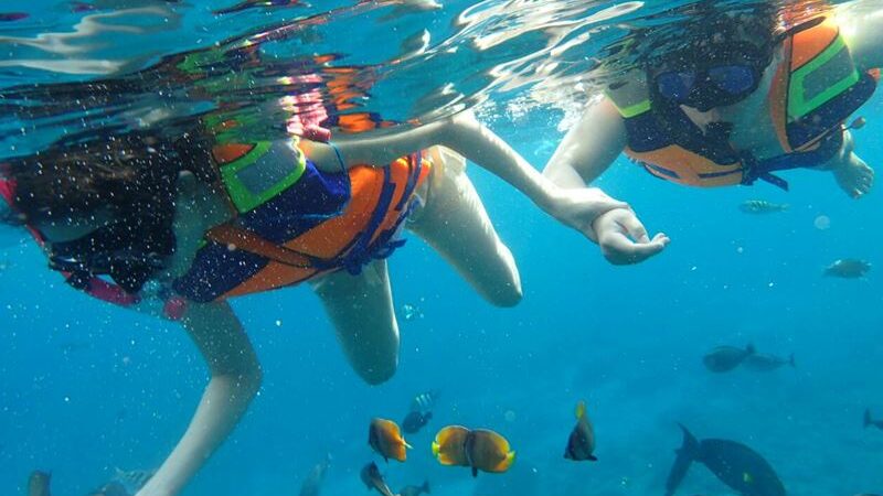 Penida Snorkeling Nusa Penida Snorkeling