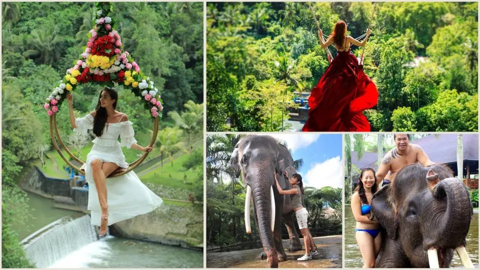 rbs-03-bali-swing-bathing-elephant