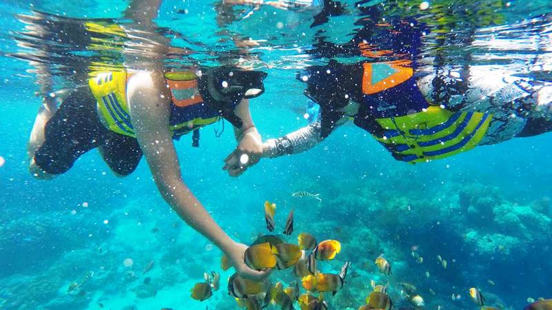 snorkling-bali