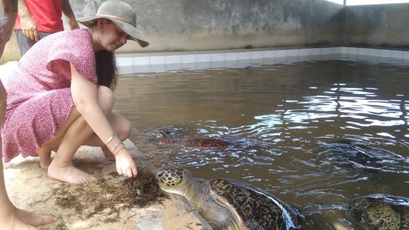 turtle-island-conservation-bali-2